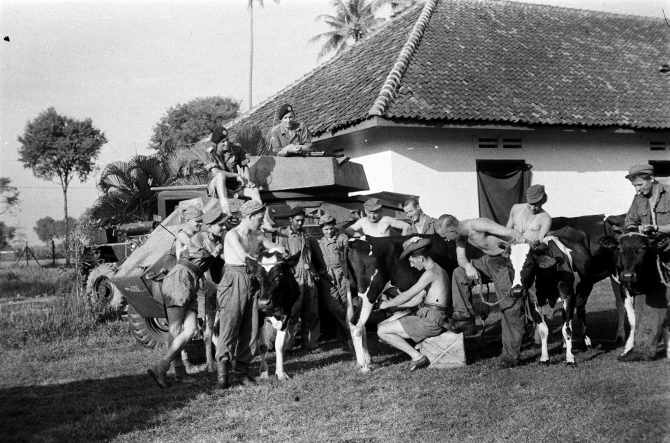 Landgenoten ontmoeten elkaar. In Tegal werd door de mannen van het pantser-eskad, Bestanddeelnr 1799