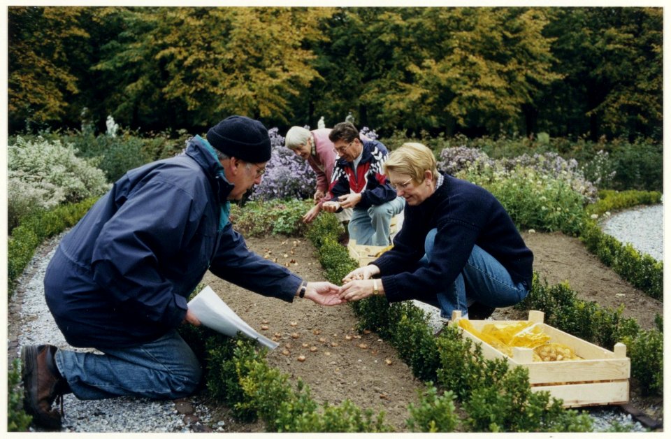 Landgoed Beeckestijn bollen van de Rembrandt-tulp gaan weer de grond in. Willem Veenendaal intrueert vrijwilligers in de tuin. NL-HlmNHA 54050222