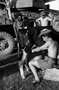Landgenoten ontmoeten elkaar. In Tegal werd door de mannen van het pantser-eskad, Bestanddeelnr 1797