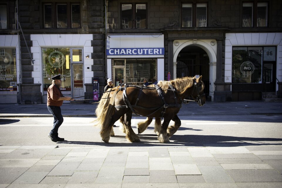 Denmark city street photo