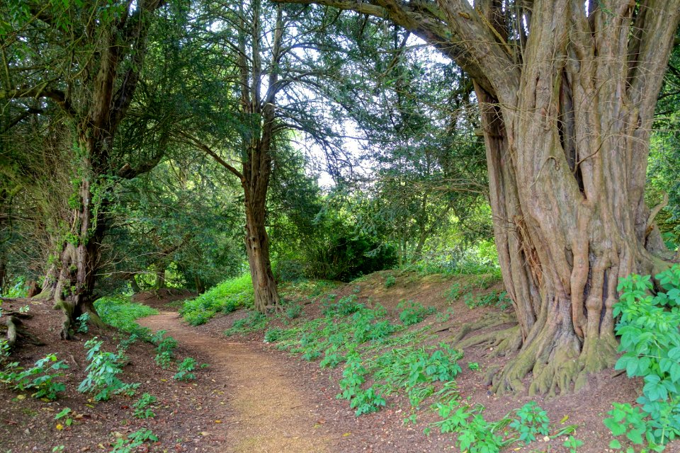 Lamport Garden (Stowe) - Buckinghamshire, England - DSC06746