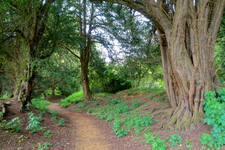 Lamport Garden (Stowe) - Buckinghamshire, England - DSC06746