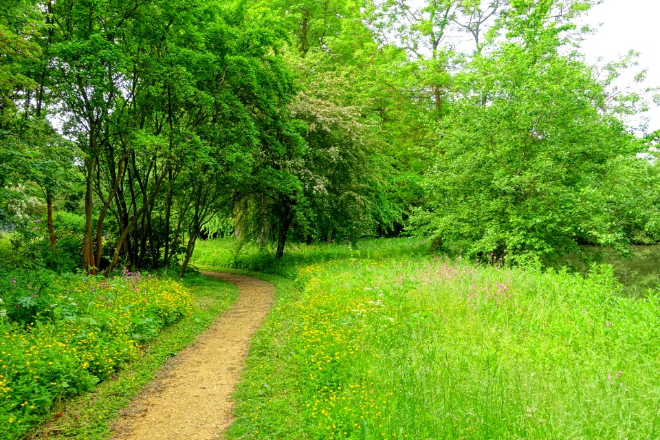 Lamport Garden (Stowe) - Buckinghamshire, England - DSC06748