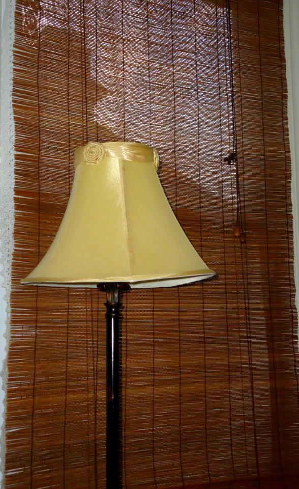 Lamp in early morning through blinds with camera flash on (2 of 2)