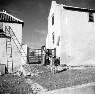 Landhuis Savonet op Curaçao, Bestanddeelnr 252-7390