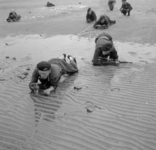 Landingsoperaties van de mariniers op Texel, Bestanddeelnr 904-0561