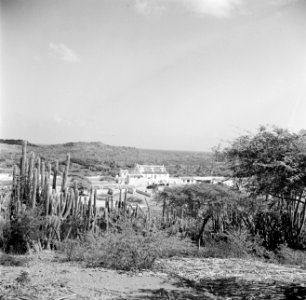 Landhuis Savonet op Curaçao, Bestanddeelnr 252-7396