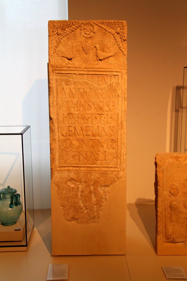 Landesmuseum Bonn 2012-01-29-5066