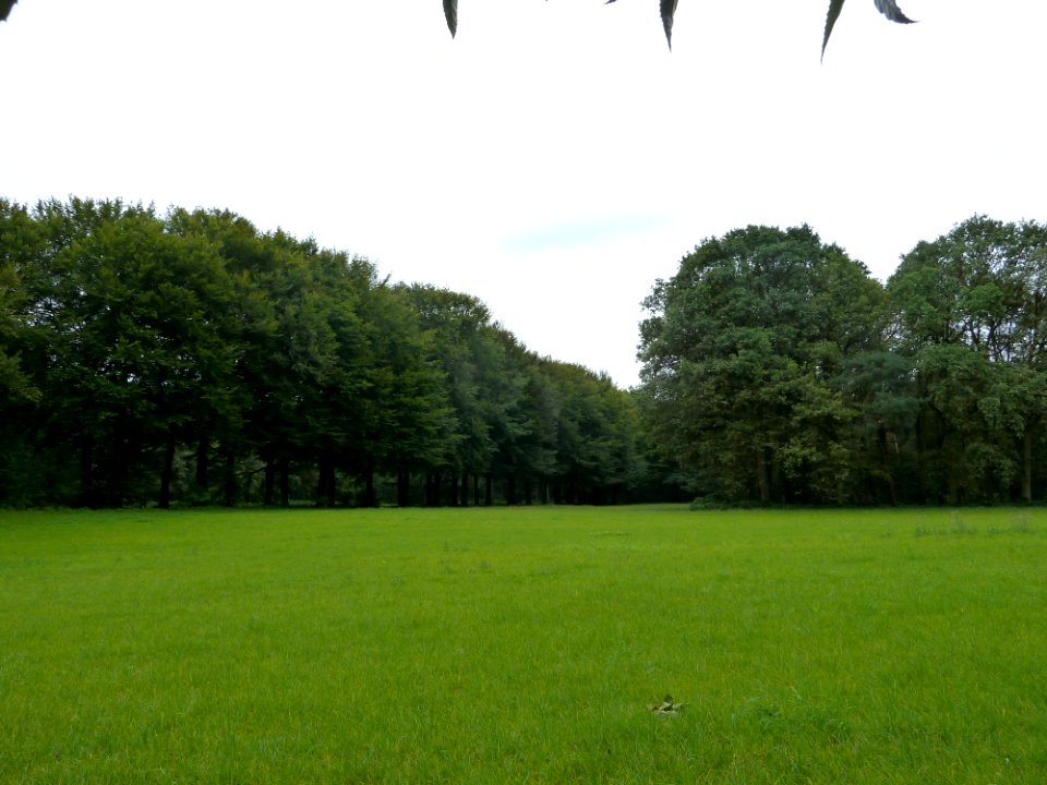 Landgoed Geijsteren in de buurt Oostrumse Beek