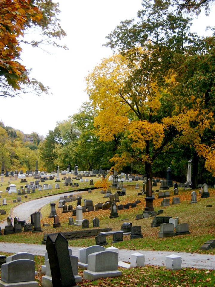 Landscape with fall colors, Union Dale Cemetery, 2020-10-24, 02