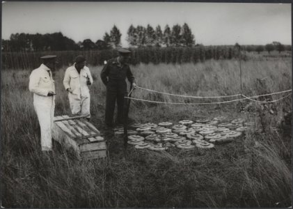 Landmijnen, opgegraven in één dag tijdens het zoeken naar begraven slachtoffers , Bestanddeelnr 512 165