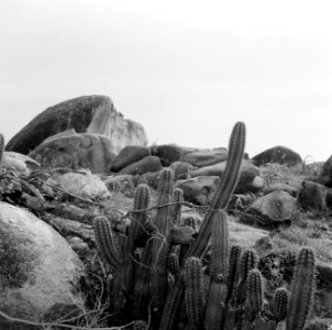 Landschap met rotspartijen bij Ajo op Aruba, Bestanddeelnr 252-3393