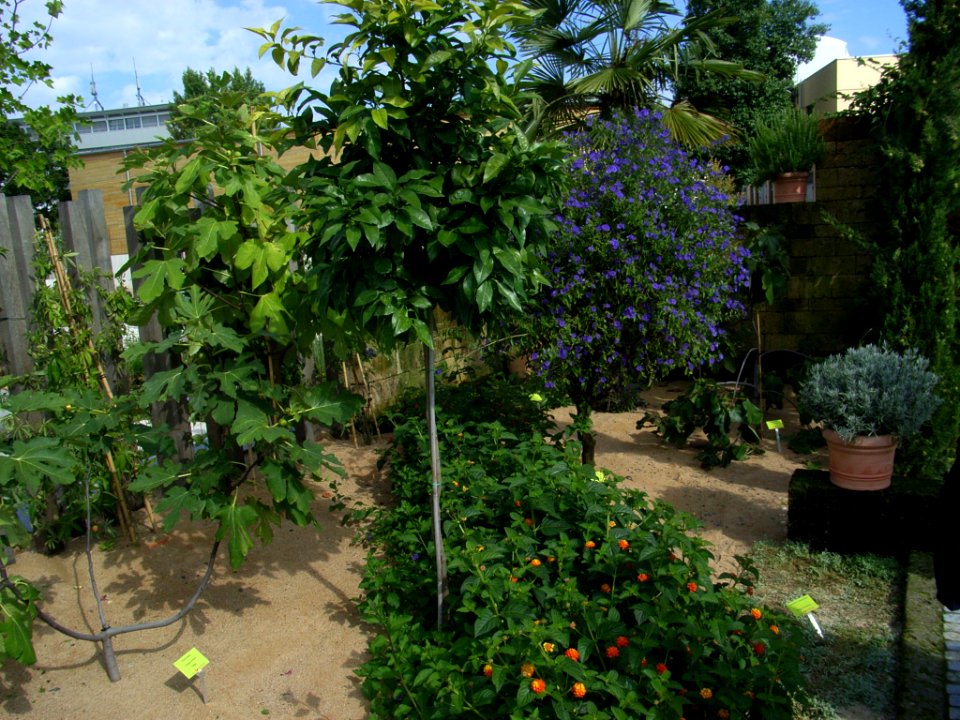 Landesgartenschau Rosenheim 4