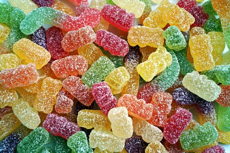 Sweet teddy bear sweets