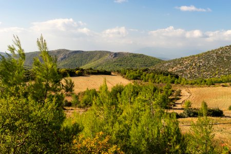 Landscape Eretria Euboea Greece photo