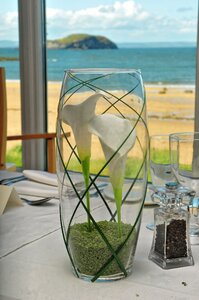 Glass vase view
