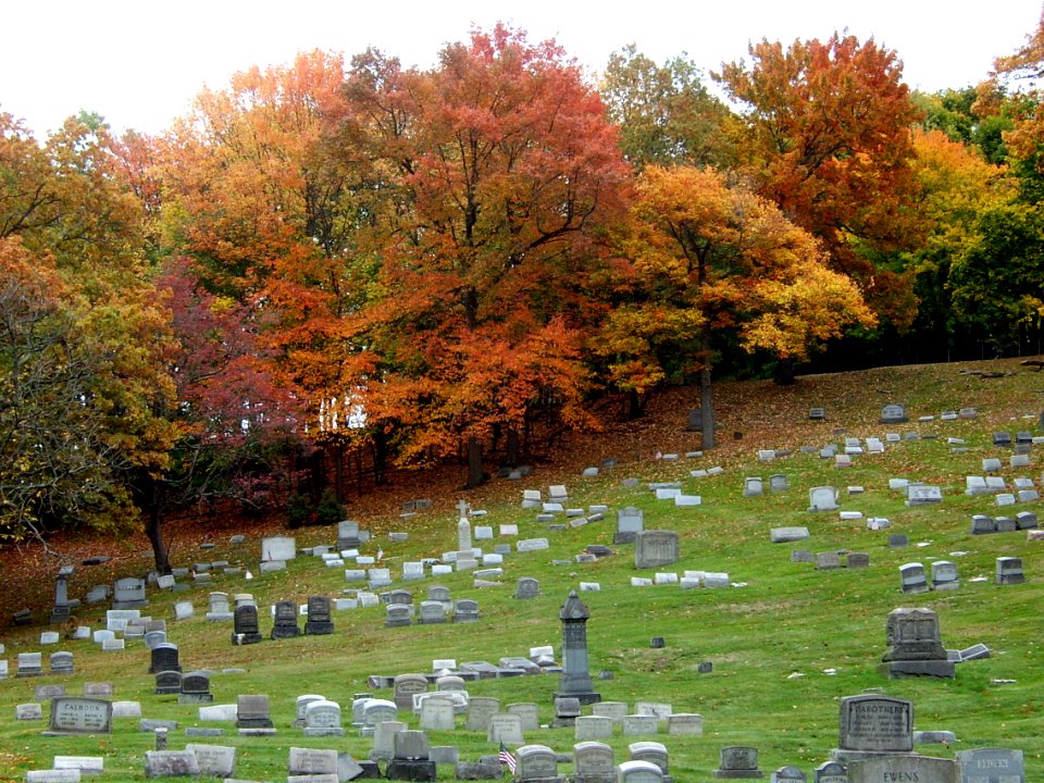 Landscape with fall colors, Highwood Cemetery, 2020-10-24, 03