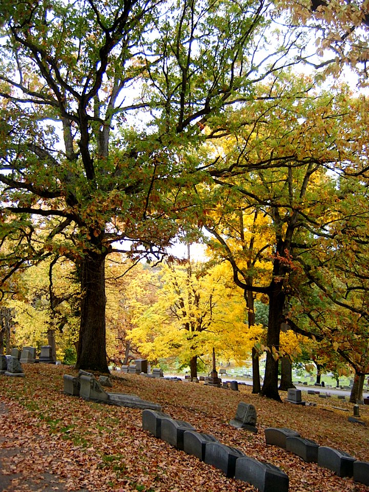 Landscape with fall colors, Highwood Cemetery, 2020-10-24, 01