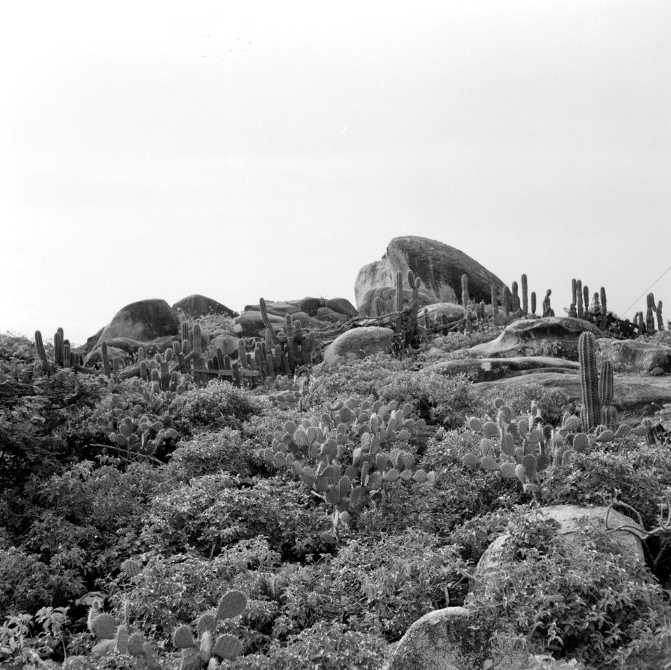 Landschap met rotspartijen bij Ajo op Aruba, Bestanddeelnr 252-3391
