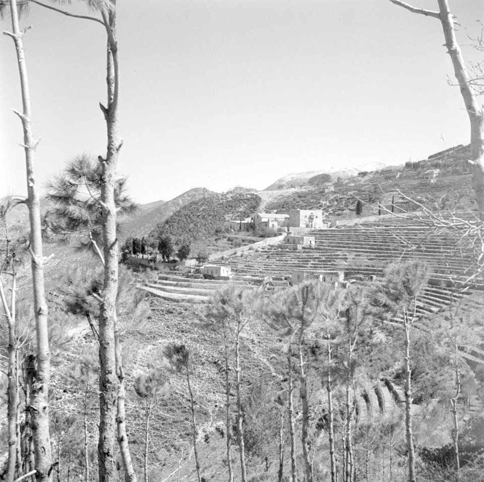 Landschap met terrassen ten noorden van Beiroet, Bestanddeelnr 255-6338