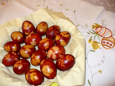 Spring easter easter eggs