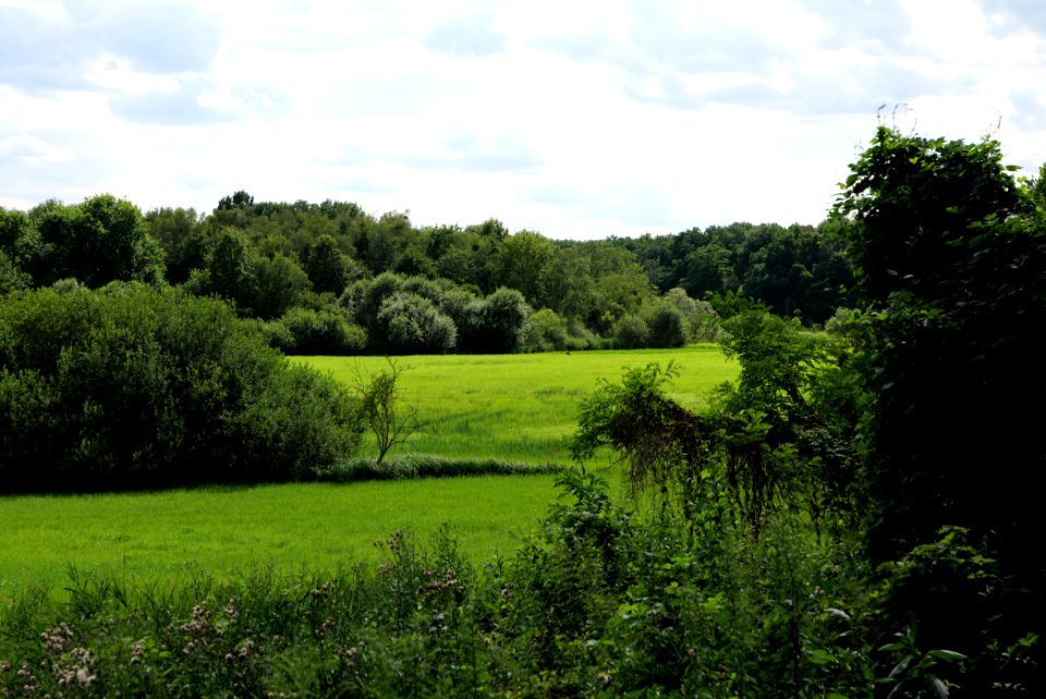 Lange Dammwiesen und Unteres Annatal near Stienitzsee 2020-07-22 134