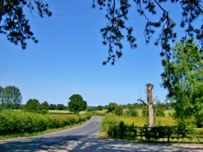 Landscape at Little Chart