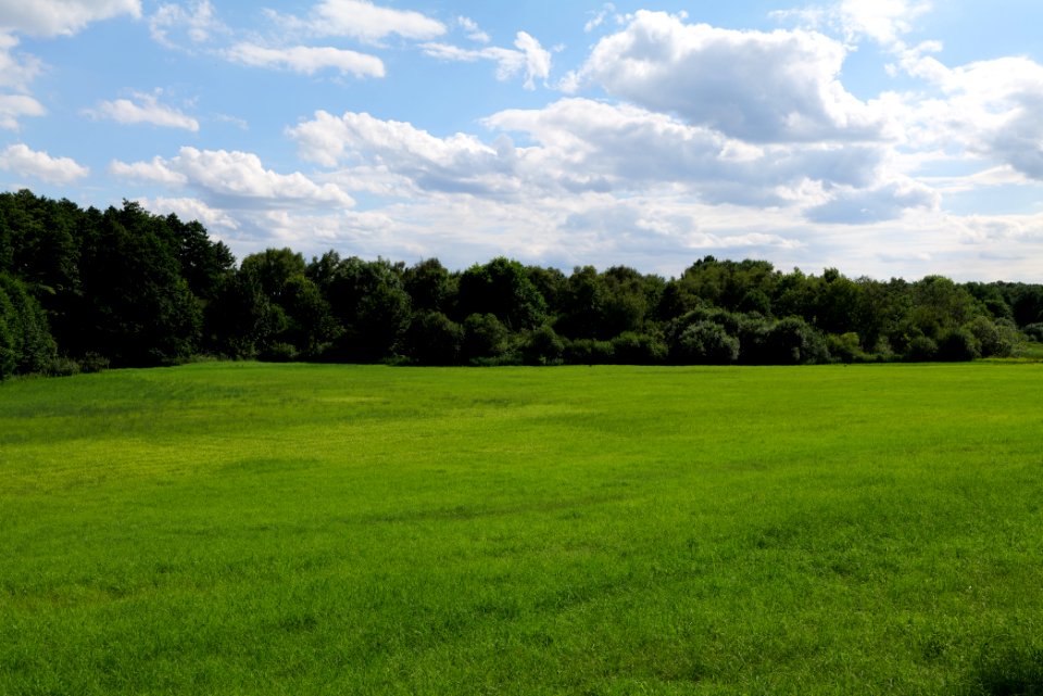 Lange Dammwiesen und Unteres Annatal near Stienitzsee 2020-07-22 147