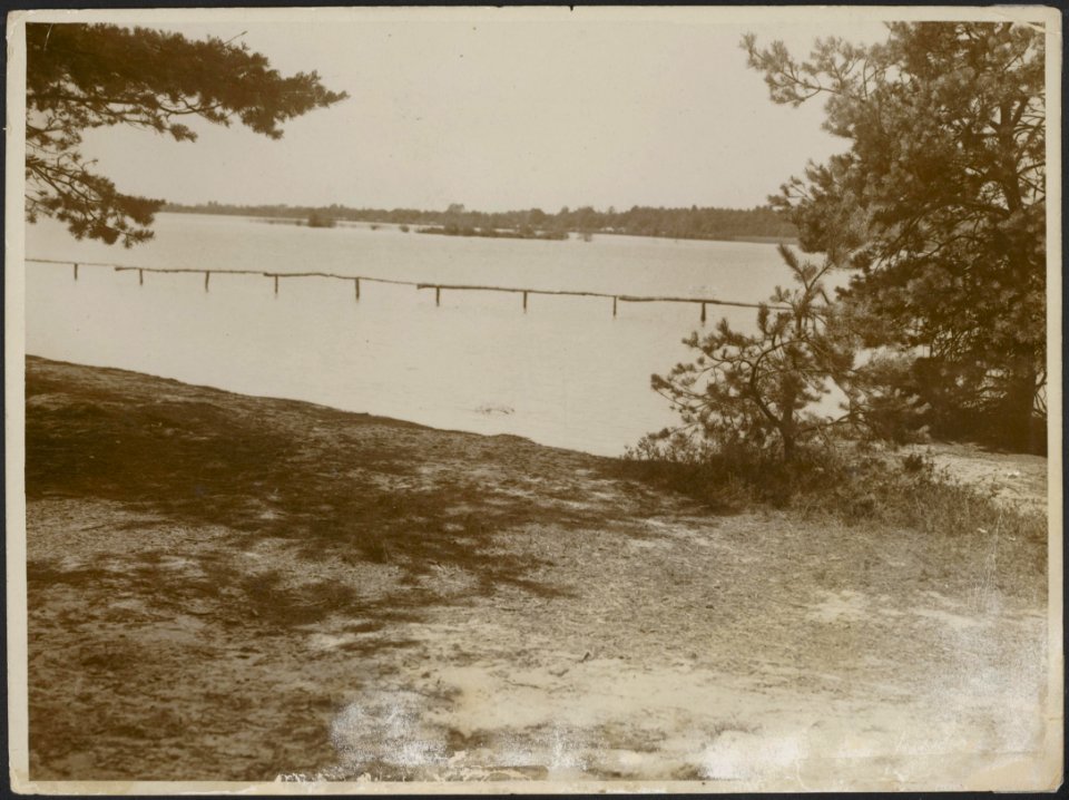 Landschap met meertje omzoomd door dennebomen., Bestanddeelnr 158-2255