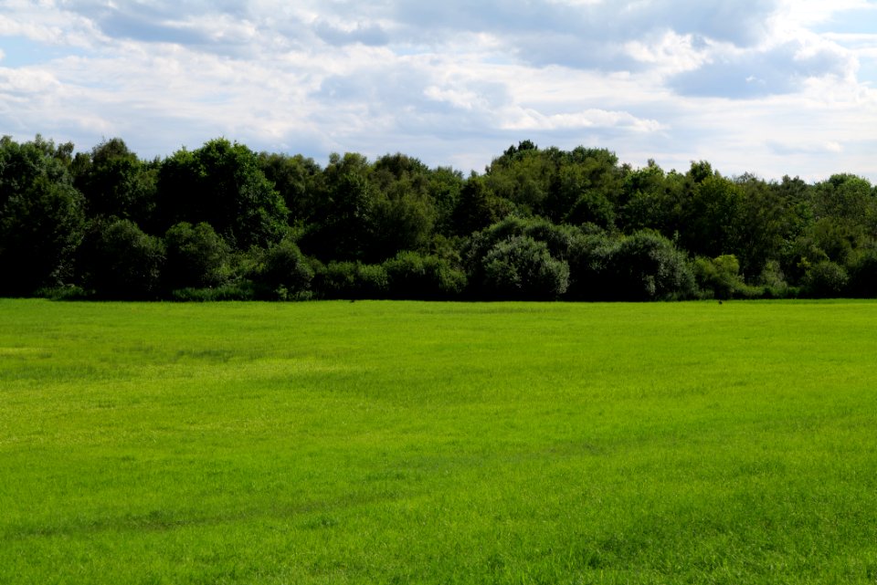 Lange Dammwiesen und Unteres Annatal near Stienitzsee 2020-07-22 145