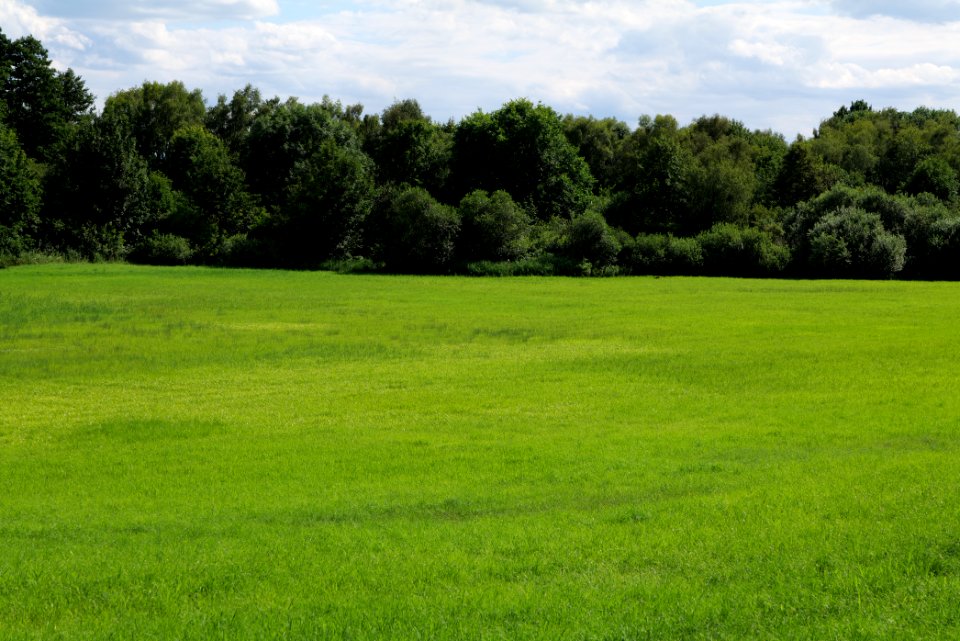 Lange Dammwiesen und Unteres Annatal near Stienitzsee 2020-07-22 150