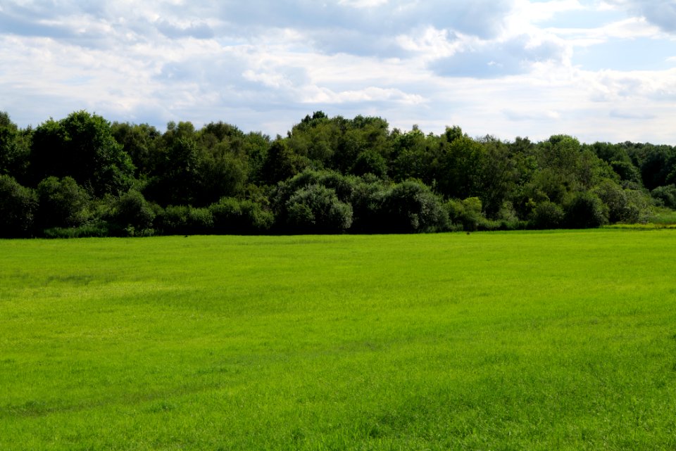 Lange Dammwiesen und Unteres Annatal near Stienitzsee 2020-07-22 144