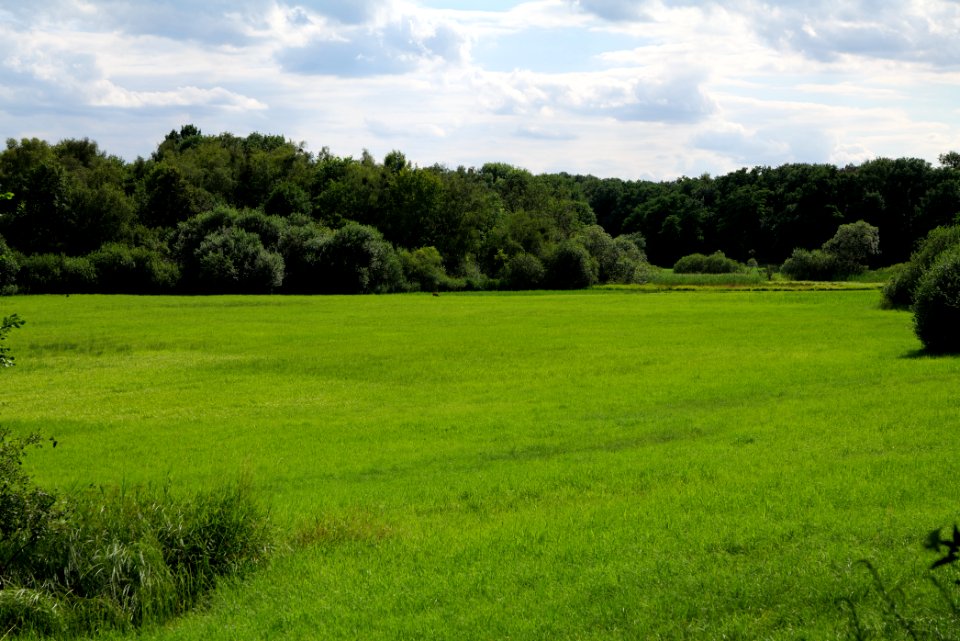 Lange Dammwiesen und Unteres Annatal near Stienitzsee 2020-07-22 140