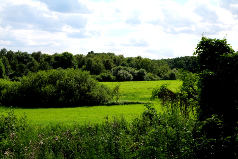 Lange Dammwiesen und Unteres Annatal near Stienitzsee 2020-07-22 136