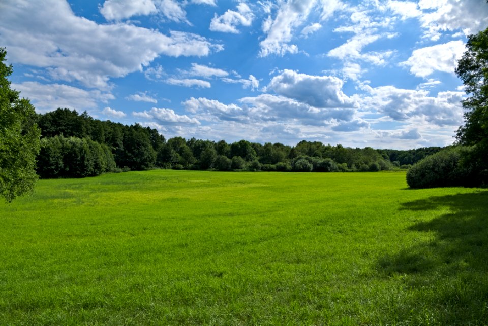 Lange Dammwiesen und Unteres Annatal near Stienitzsee 2020-07-22 147 edited