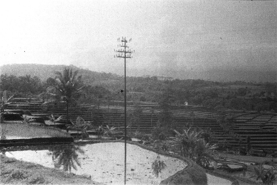 Landschap met rijstvelden in terrasbouw, Bestanddeelnr 109-3-4