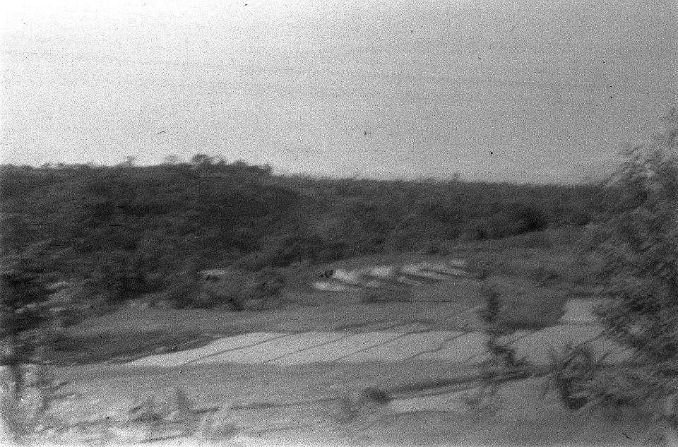 Landschap met rijstterrassen (bewogen), Bestanddeelnr 109-3-3