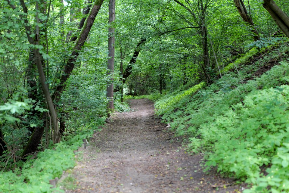 Lange Dammwiesen und Unteres Annatal near Stienitzsee 2020-07-22 121