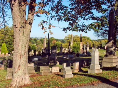 Landscape, Smithfield East End Cemetery, 2015-09-14, 01