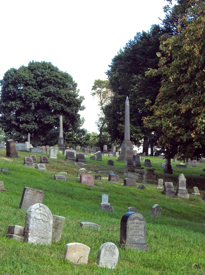 Landscape, Minersville Cemetery, 2015-08-17, 01