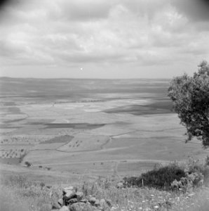 Landschap gezien vanuit de Crac des Chevaliers nabij Safita, Bestanddeelnr 255-6024