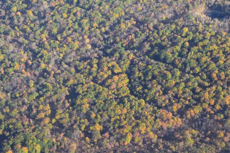 Landscape when descending towards Vladivostok International Airport 17