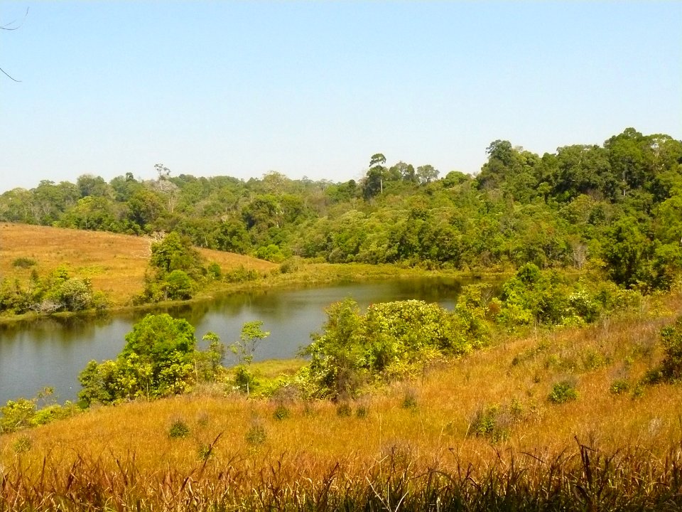 Landscape at Khao Yai NP