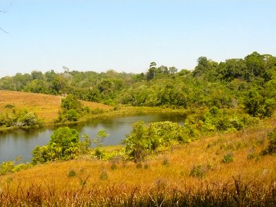Landscape at Khao Yai NP