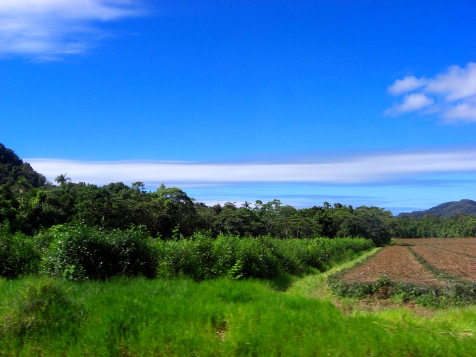 Landscape near Cairns