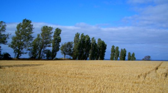 Landscape of Femø