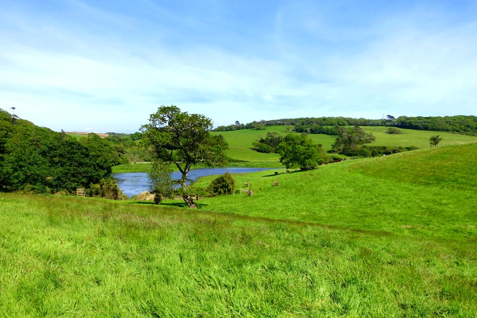 Landscape - Caerhayes Castle - Cornwall, England - DSC03321