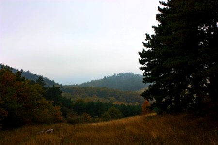 Landscape 1 (179749573)