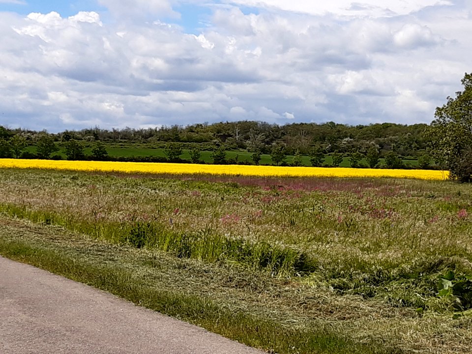 LandsbergPorphyrkuppen GützerBerg1