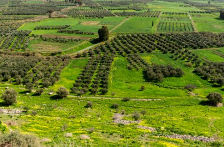 Landscape from Phaistos